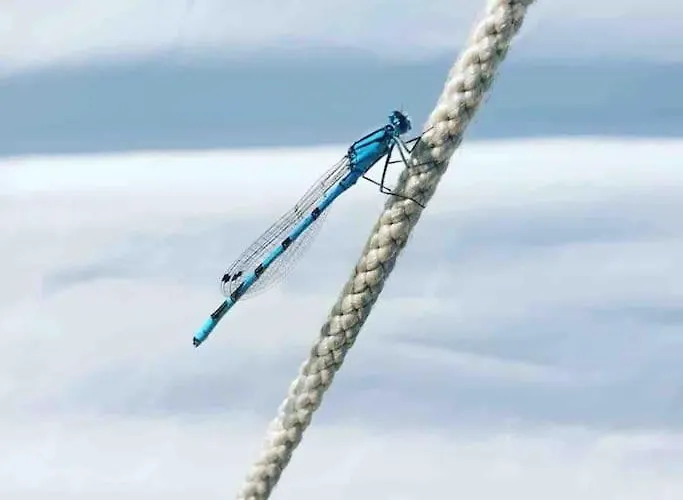 La Maison De La Giffaumont-Champaubert